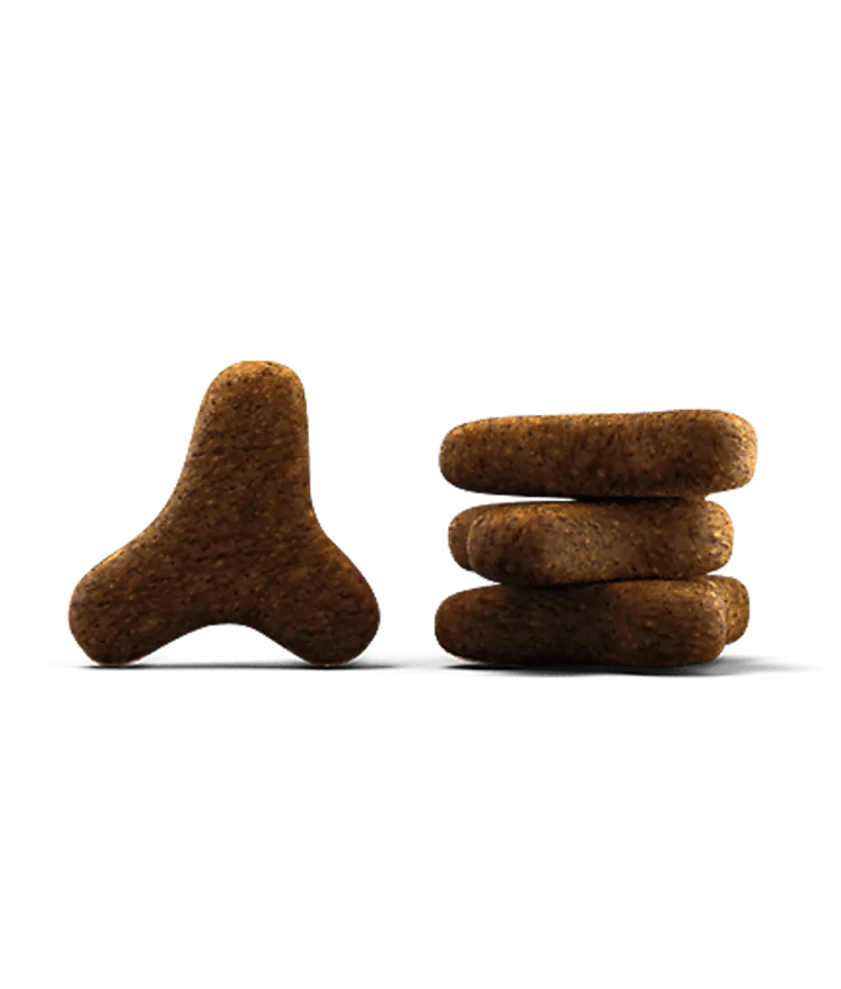 Josera - Help Hypoallergenic Cat Dry Food – Grain-Free Salmon Monoprotein for Food Allergies – 2 kg kibbles in different shapes.