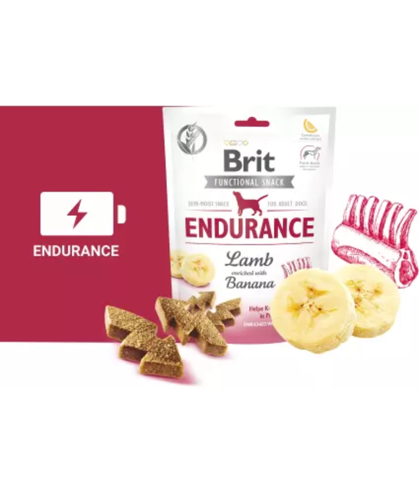 Brit Care Dog Functional Snack Endurance Lamb 150g