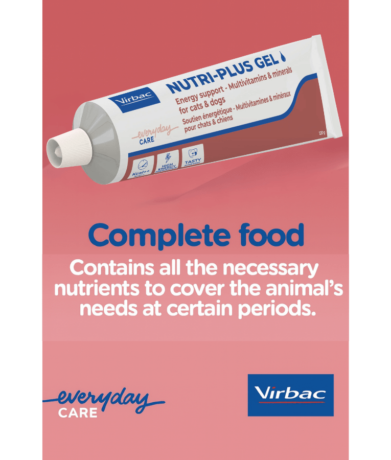 Virbac - Nutri-Plus Gel, High-Energy Multivitamin & Mineral Supplement for Dogs & Cats - 120g