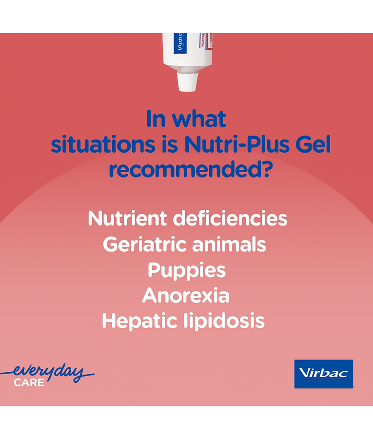 Virbac - Nutri-Plus Gel, High-Energy Multivitamin & Mineral Supplement for Dogs & Cats - 120g