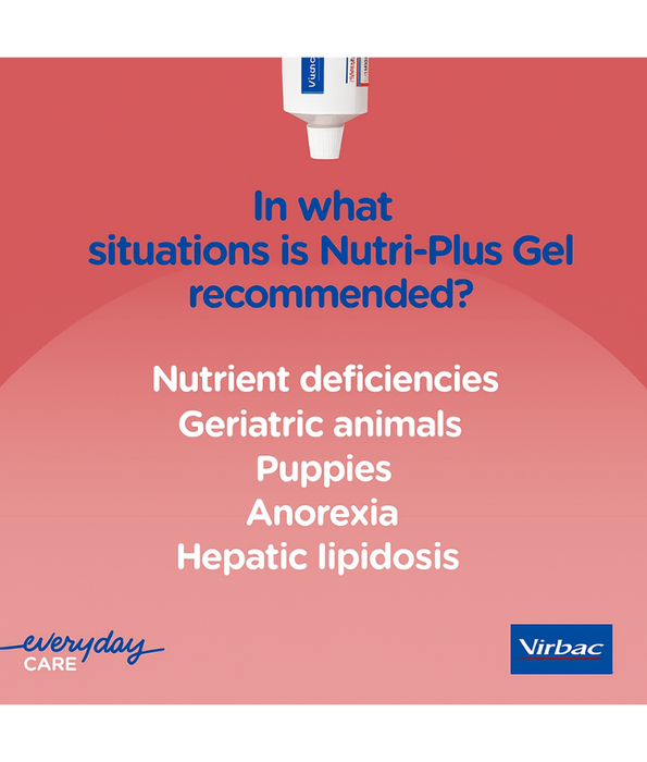 Virbac - Nutri-Plus Gel, High-Energy Multivitamin & Mineral Supplement for Dogs & Cats - 120g