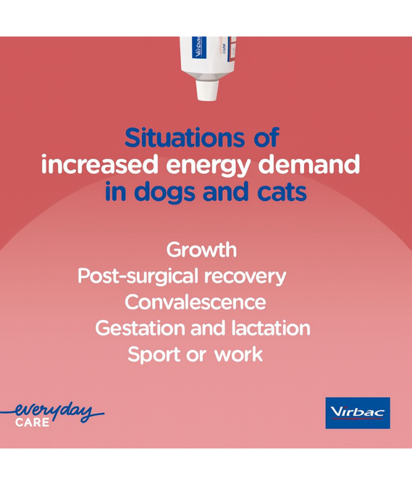 Virbac - Nutri-Plus Gel, High-Energy Multivitamin & Mineral Supplement for Dogs & Cats - 120g