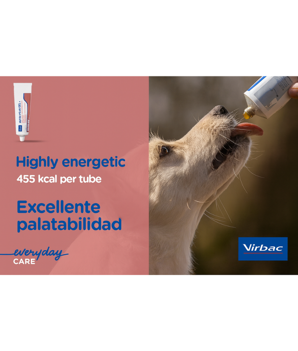 Virbac - Nutri-Plus Gel, High-Energy Multivitamin & Mineral Supplement for Dogs & Cats - 120g