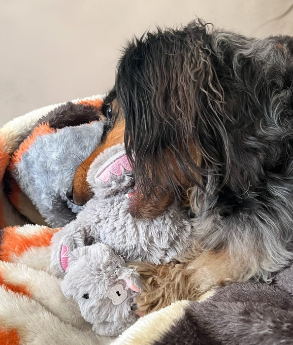 Spunky Pup - Furry Friends Plush Hippo, Squeaky Crinkle Ball Dog Toy