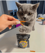 Wellfed – Monoprotein Duck & Catnip Mini Fillets – Grain & Sugar Free - 50g