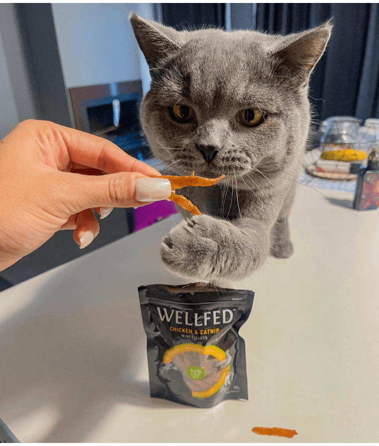 Wellfed – Monoprotein Duck & Catnip Mini Fillets – Grain & Sugar Free - 50g
