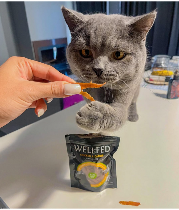 Wellfed – Monoprotein Chicken & Catnip Mini Fillets – Grain & Sugar Free - 50g