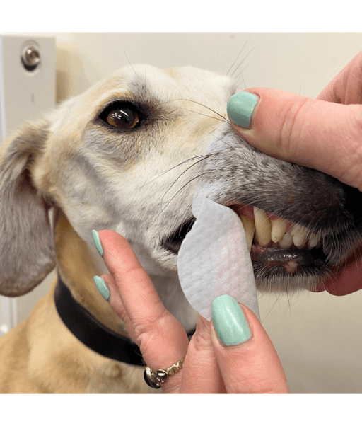 Smart Mate - Prime Wipes Dental