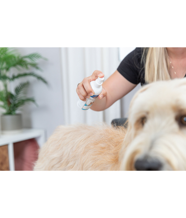 Trixie - Detangling Spray for Long-Haired Dogs, Odourless, Non-Greasy Coat Care - 175ml