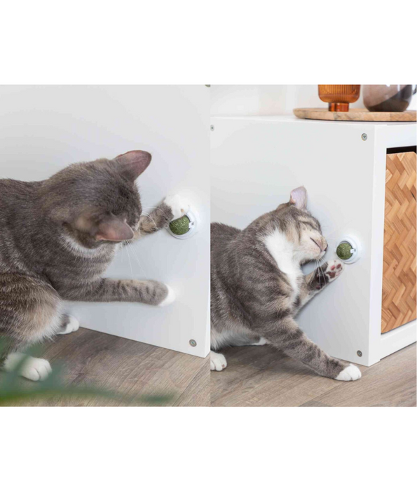 Trixie - Catnip Ball with Stand, Wall-Mountable Cat Toy for Cats ‎- 5 x 5 x 5 cm, 40 g