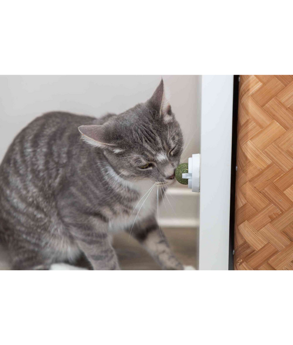 Trixie - Catnip Ball with Stand, Wall-Mountable Cat Toy for Cats ‎- 5 x 5 x 5 cm, 40 g