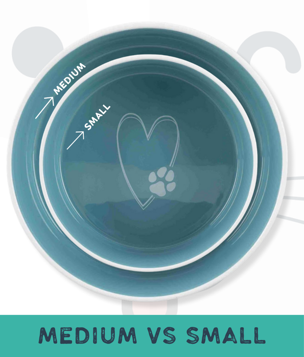Trixie - Pet’s Home Ceramic Bowl, Cream/Petrol, For Cats & Small/Mediun Dogs - Small, Medium