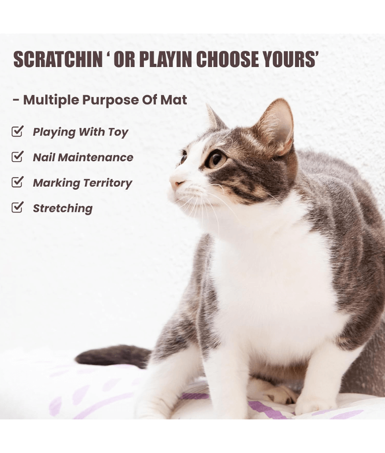Trixie - Dual-Sided Scratching Mat with Toy for Cats 70x45 cm