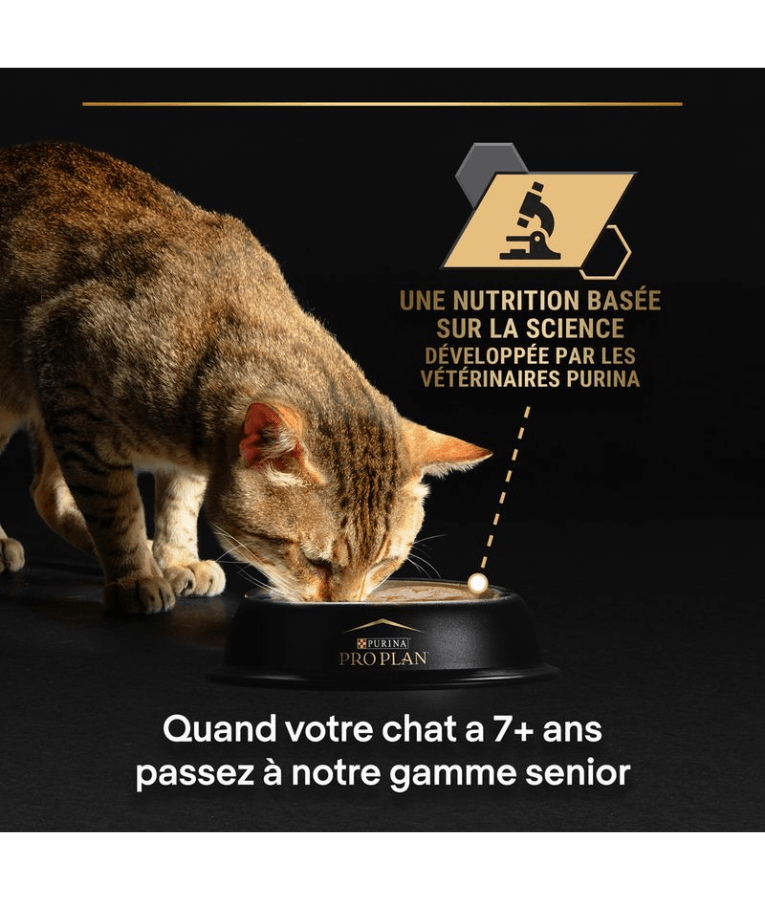 Purina - Pro Plan, Sterilised Adult Maintenance, Wet Cat Food, Terrine Rich in Tuna & Salmon - 85g