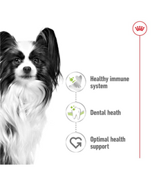 Healthy small breed dog with bullet points on health benefits: immune system, dental health, optimal support.
