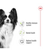 Healthy small breed dog with bullet points on health benefits: immune system, dental health, optimal support.