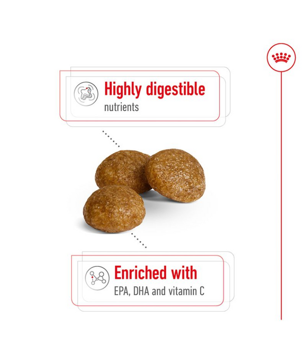 Highly digestible dog kibble enriched with EPA, DHA, and vitamin C for small breed adult dogs.