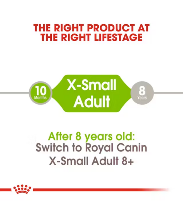Infographic showing the recommended age for Royal Canin X-Small Adult dog food: 10 months to 8 years, with switching advice.