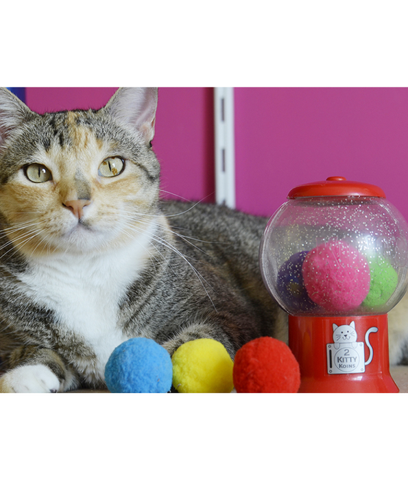Kong - Catnip Infuser