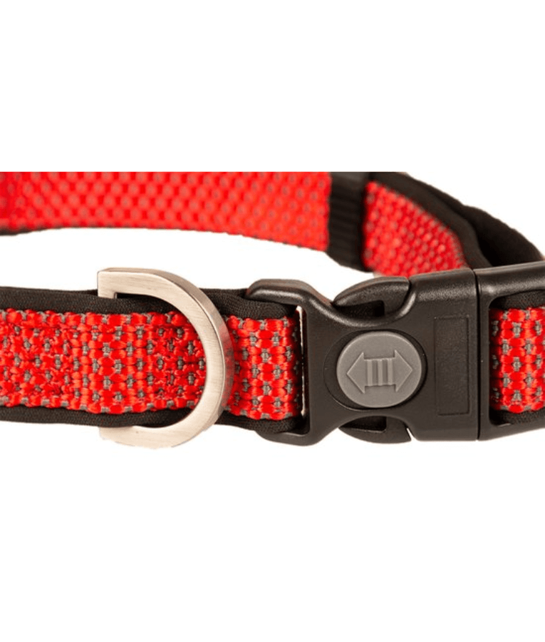 Duvo+ – EXPLOR East Nylon Dog Collar, Red, Weather-Resistant & Reflective – M & XL close-up view of buckle and fabric.