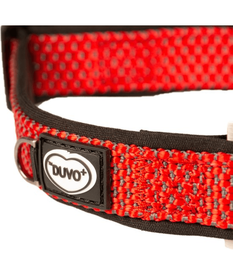 Duvo+ – EXPLOR East Nylon Dog Collar, Red, Weather-Resistant & Reflective – M & XL close-up view.