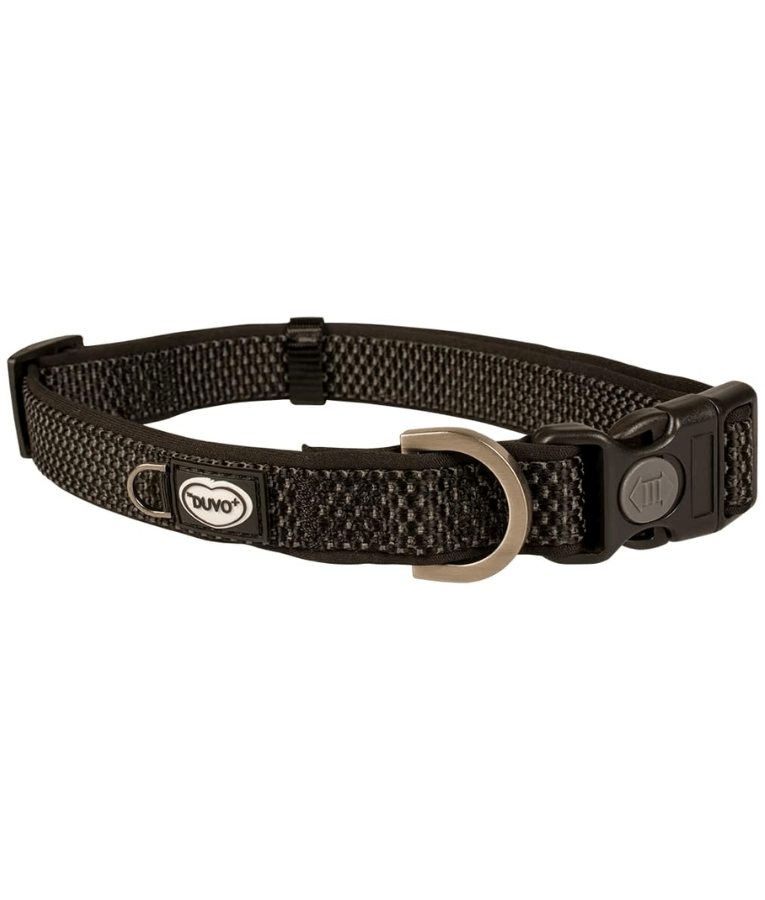 Duvo+ – EXPLOR East Nylon Dog Collar, Black, Weather-Resistant & Reflective – XL displayed on a white background.
