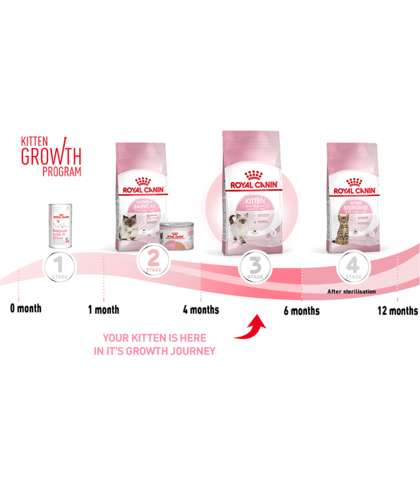 Royal Canin Kitten 2kg-4kg-10kg