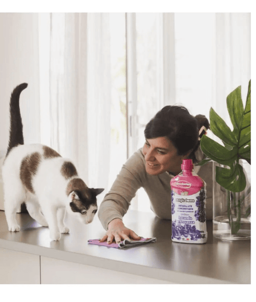 Inodorina - Magic Home Floor Detergent - Lavender Perfume 1 Liter