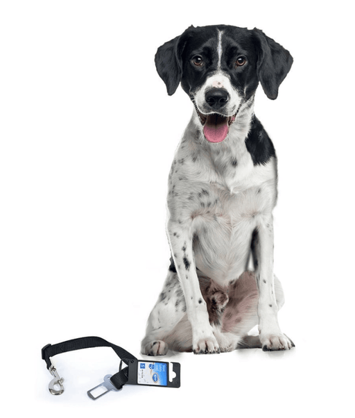 Duvo - Short safety lead Black S-M