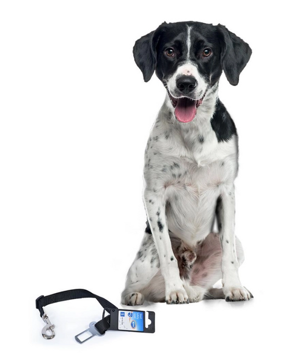 Duvo - Short safety lead Black S-M