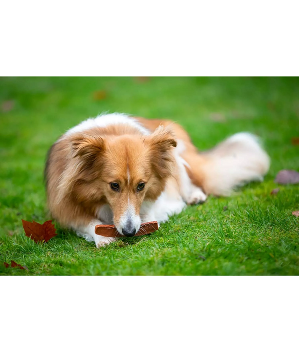Pets Unlimited - Rosewood Large Salmon Fillet Strips- Grain Free 150 g