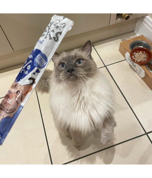 Webbox - Tasty Sticks Cod Cat Treats – Grain Free – 30g (6 Sticks)