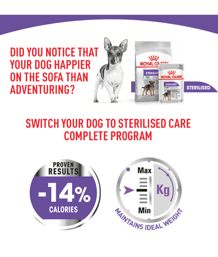 Royal Canin - Sterilised Mini Dog Food – Weight Control for Neutered Mini & Small Breeds – 3 kg with calorie reduction benefits.