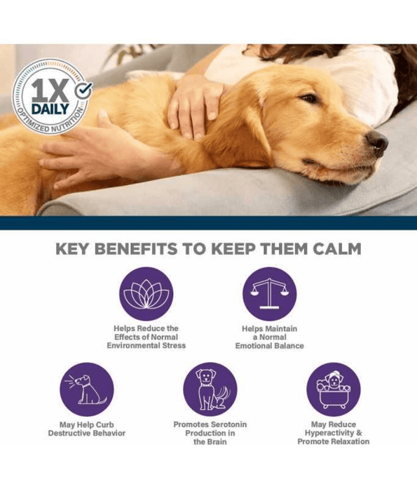 Synergy Labs - Veterinary Formula Solutions, Pet Calm Plus Supplement For Dogs - 30 Soft Chews