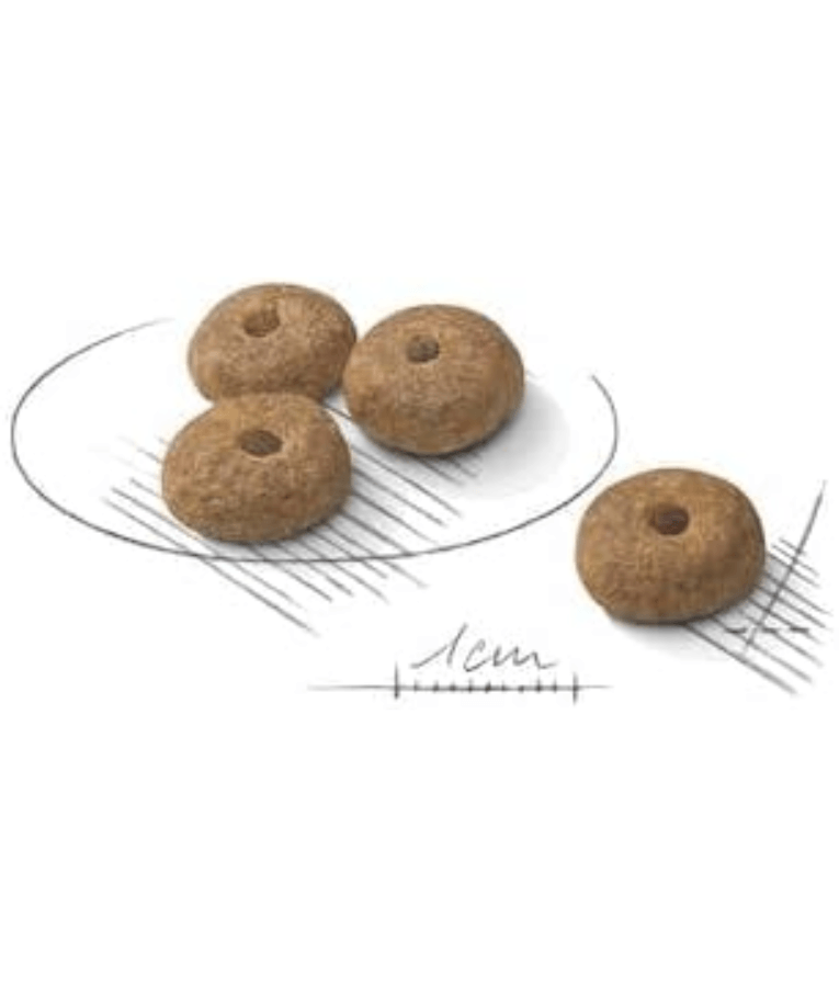 Royal Canin - Sterilised Mini Dog Food – Weight Control for Neutered Mini & Small Breeds – 3 kg kibble pieces on a plate