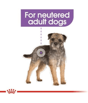 Royal Canin - Sterilised Mini Dog Food – Weight Control for Neutered Mini & Small Breeds – 3 kg image featuring a dog.