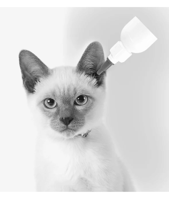 M-PETS - Ear Cleaner for Cats 118ml