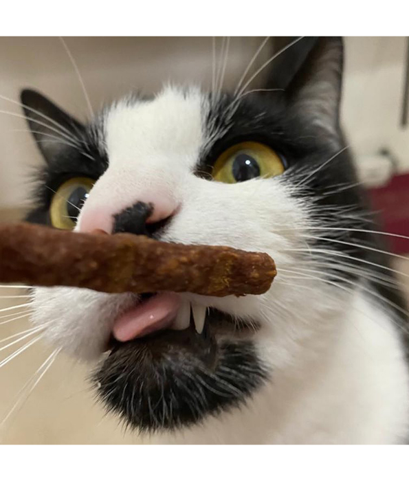 Webbox - Tasty Sticks Cod Cat Treats – Grain Free – 30g (6 Sticks)