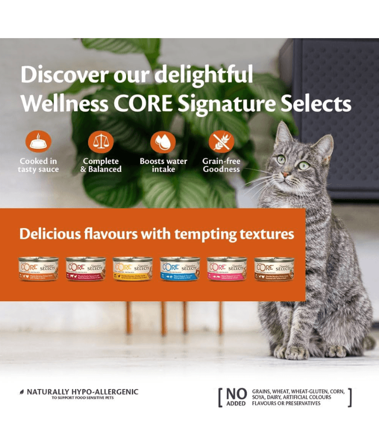 Wellness CORE - Signature Selects, Chicken & Turkey, High-Protein, Grain-Free, Adult Wet Cat Food - 79g