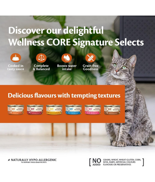 Wellness CORE Signature Selects Flaked Skipjack Tuna & Wild Salmon in Broth 79g