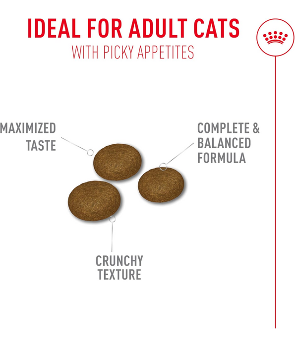 Royal Canin - Fussy Exigent Dry Cat Food 2 Kg