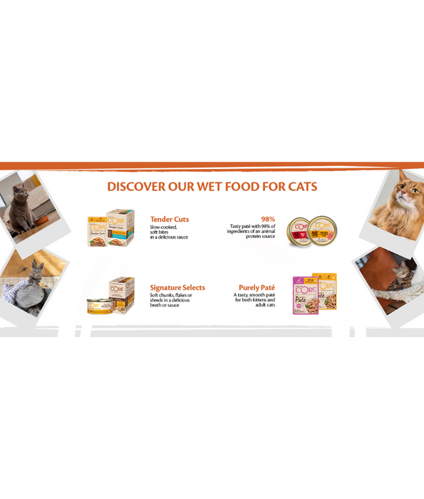 Wellness Core 98% Single Protein Beef - 85g