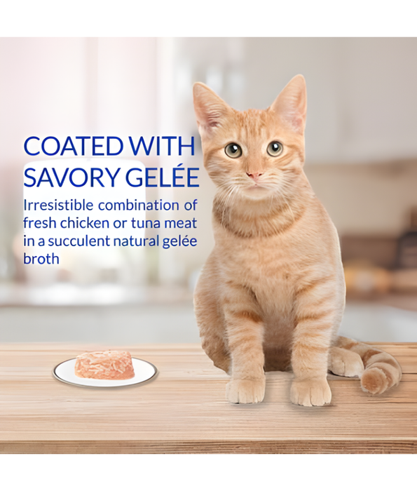 Inaba Twins - Tuna & Chicken with Scallop Recipe 2 Packs 70g