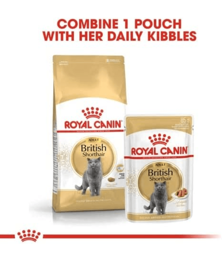 Royal Canin - Wet Cat Food British Shorthair In Gravy 85g