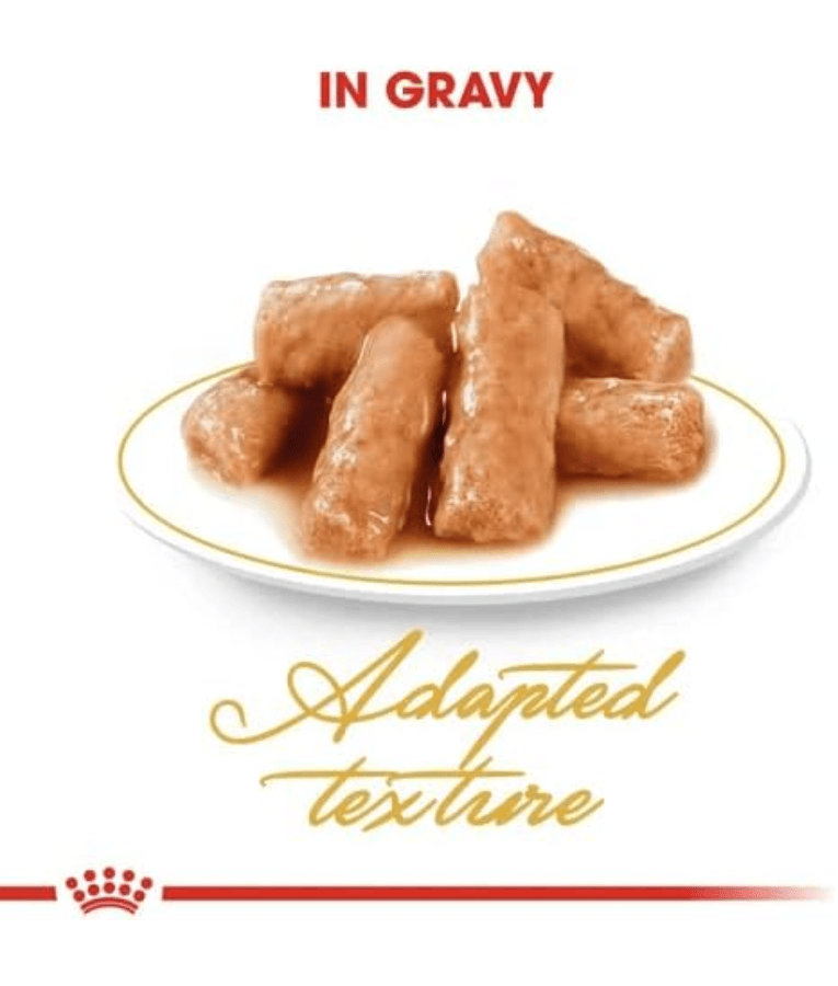 Royal Canin - Wet Cat Food British Shorthair In Gravy 85g