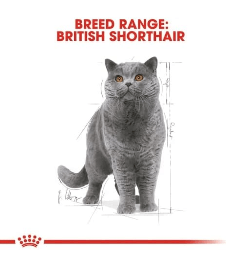 Royal Canin - Wet Cat Food British Shorthair In Gravy 85g