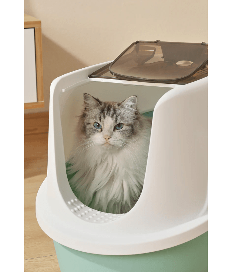 M-Pets - ECO TIMA Covered Cat Litter Box, Recycled Plastic, Odour Filter & Swing Door, Ocean Blue - 60 x 45 x 42 cm