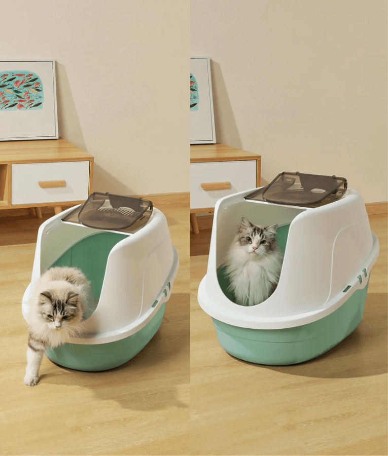 M-Pets - ECO TIMA Covered Cat Litter Box, Recycled Plastic, Odour Filter & Swing Door, Ocean Blue - 60 x 45 x 42 cm