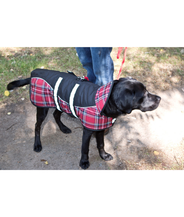 Animate Reflective Padded Harness Dog Coat Diamond Red