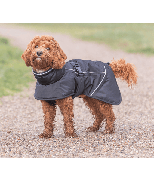Trixie - Brizon Winter Coat For Dogs